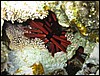 IMG_4450.JPG