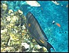 IMG_4452.JPG