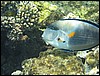 IMG_4454.JPG