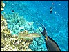 IMG_4455.JPG