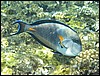 IMG_4457.JPG