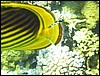 IMG_4458.JPG