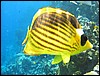 IMG_4459.JPG