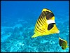 IMG_4460.JPG
