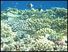 IMG_4465.JPG