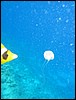 IMG_4469.JPG