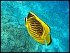 IMG_4470.JPG