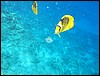 IMG_4471.JPG