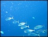 IMG_4474.JPG