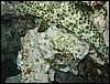 IMG_4476.JPG