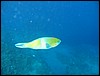 IMG_4479.JPG