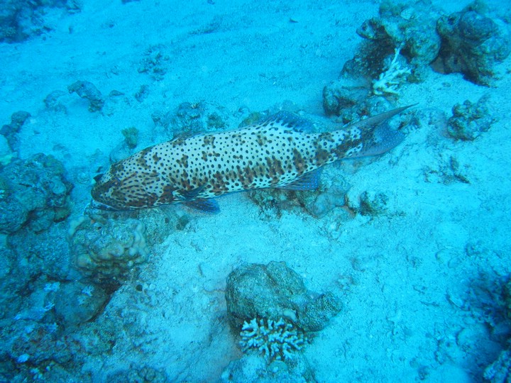 IMG_4499.JPG