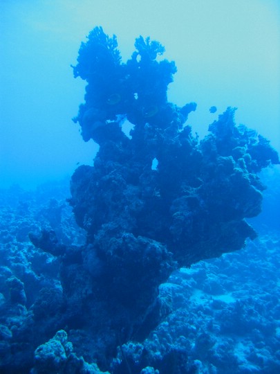 IMG_4506.JPG