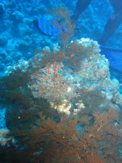 IMG_4514.JPG