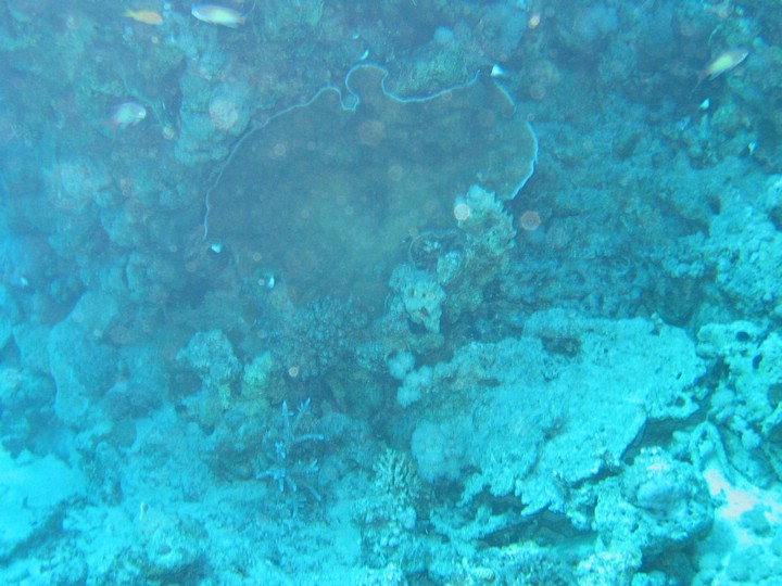 IMG_4530.JPG