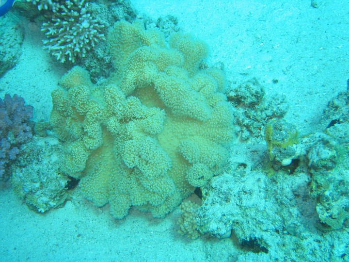 IMG_4537.JPG