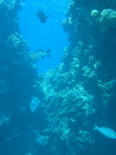 IMG_4542.JPG