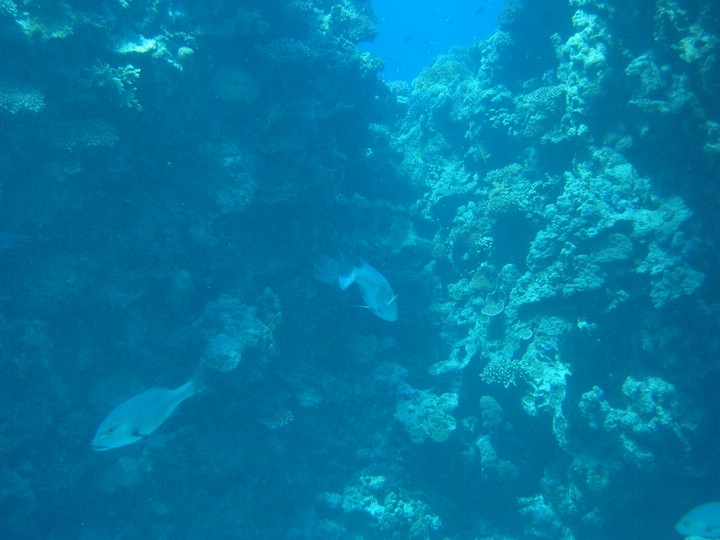 IMG_4543.JPG