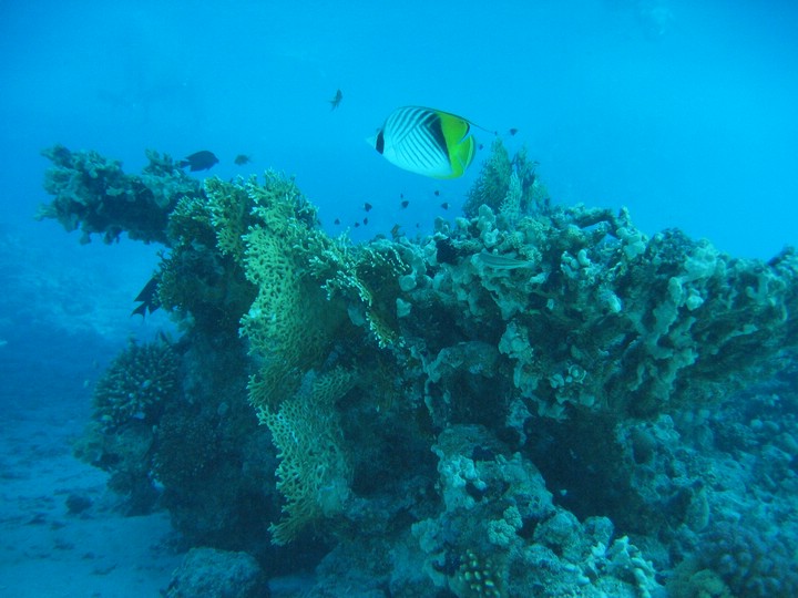 IMG_4549.JPG