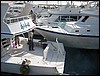 IMG_4483.JPG