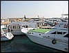 IMG_4484.JPG