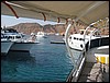 IMG_4485.JPG