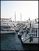 IMG_4486.JPG