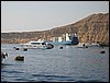 IMG_4487.JPG