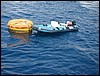 IMG_4488.JPG