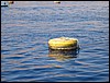 IMG_4489.JPG