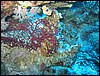IMG_4496.JPG