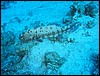 IMG_4499.JPG