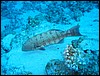 IMG_4500.JPG