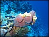IMG_4501.JPG