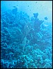 IMG_4502.JPG