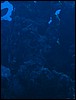 IMG_4505.JPG