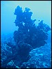 IMG_4506.JPG