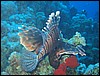 IMG_4508.JPG