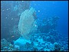IMG_4512.JPG