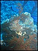 IMG_4514.JPG