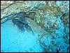 IMG_4515.JPG