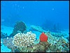 IMG_4520.JPG