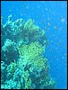 IMG_4531.JPG