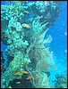 IMG_4533.JPG