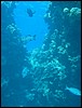 IMG_4542.JPG
