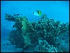 IMG_4549.JPG