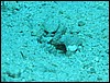 IMG_4550.JPG