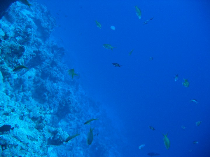 IMG_4562.JPG