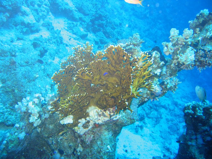 IMG_4563.JPG
