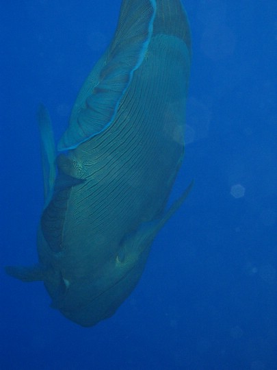IMG_4577.JPG